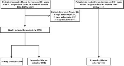 The Nomogram predicting the overall survival of patients with pancreatic cancer treated with radiotherapy: a study based on the SEER database and a Chinese cohort